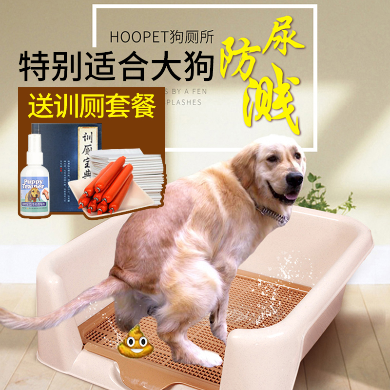 狗狗睡覺拉屎訓(xùn)練