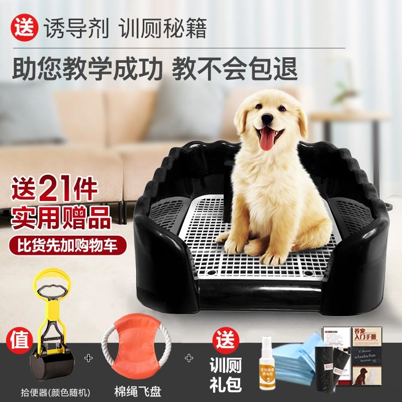 狗狗睡覺拉屎訓(xùn)練