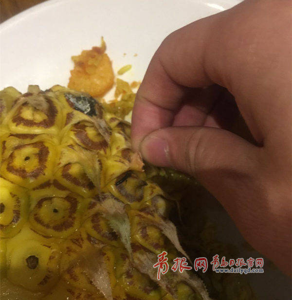 懷孕家里養(yǎng)狗注意事項_養(yǎng)八哥狗需要注意什么_懷孕7個月注意什么事項