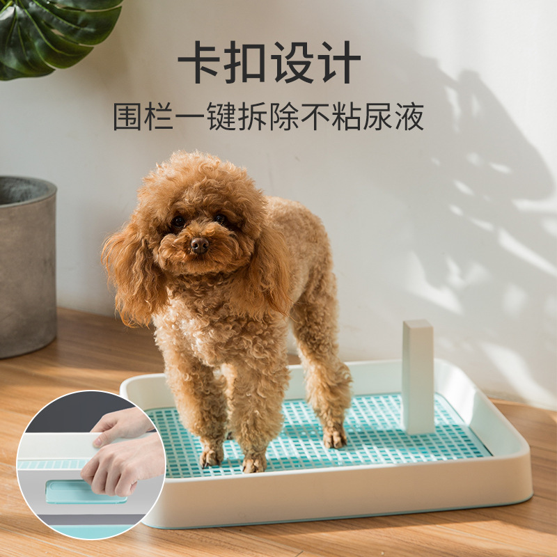 買(mǎi)了狗廁所 怎么訓(xùn)練_怎樣訓(xùn)練狗狗大小便的視頻_怎樣訓(xùn)練狗狗大小便狗廁所