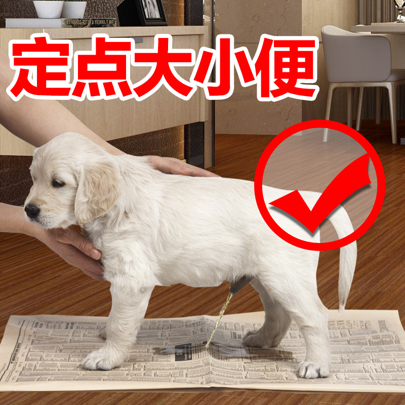 怎樣訓(xùn)練狗狗大小便的視頻_買(mǎi)了狗廁所 怎么訓(xùn)練_怎樣訓(xùn)練狗狗大小便狗廁所