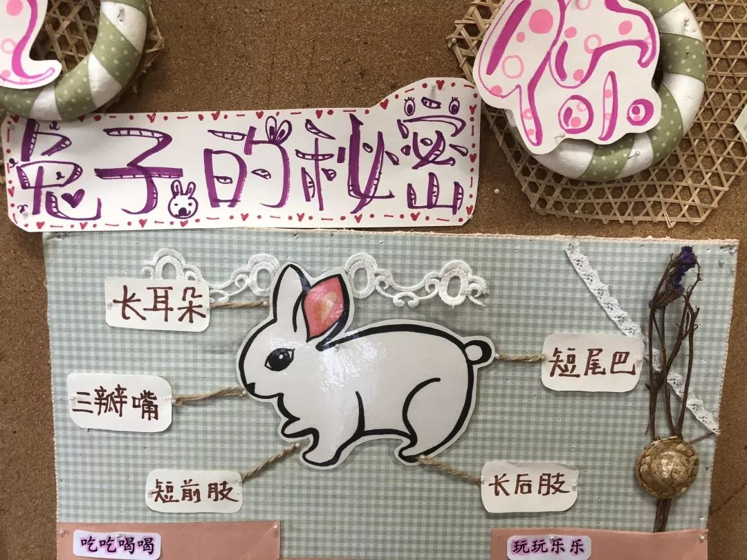 為什么兔子的尾巴是短的_兔子的尾巴歇后語讀音_兔子尾巴的歇后語是
