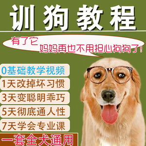訓練狗狗視頻_訓練狗狗大小便_訓練狗狗多少錢