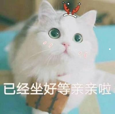 南陽貓狗市場買什么