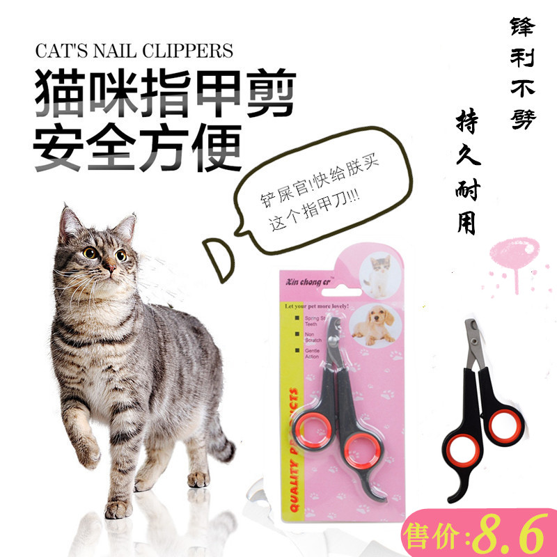 狗狗美容鄭州_快樂(lè)大本營(yíng)狗狗做美容_狗狗美容游戲