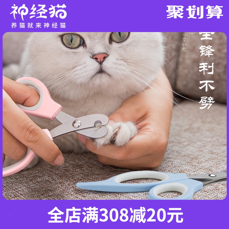 狗狗美容游戲_快樂(lè)大本營(yíng)狗狗做美容_狗狗美容鄭州