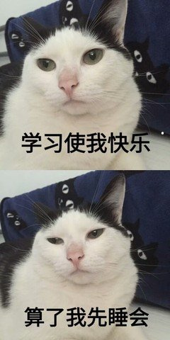 寵物貓狗治療圖片