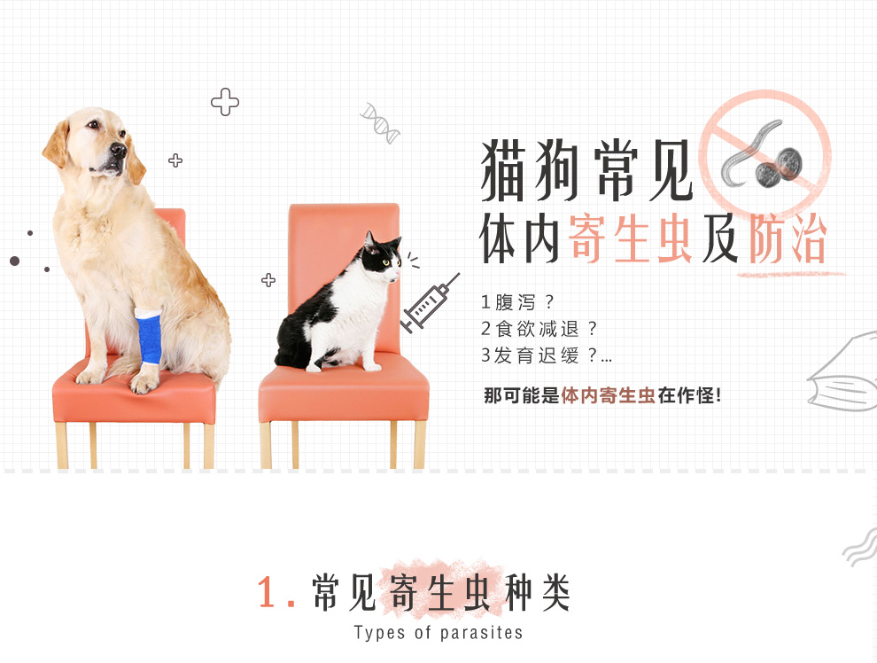 養(yǎng)狗有什么壞處_養(yǎng)什么狗有檔次_相狗秘訣什么狗養(yǎng)不得