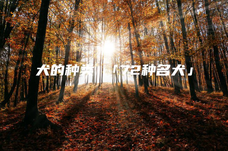 犬的種類 「72種名犬」