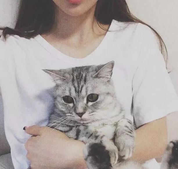 為什么女生，更愛養(yǎng)貓不養(yǎng)狗？這幾點大概是原因
