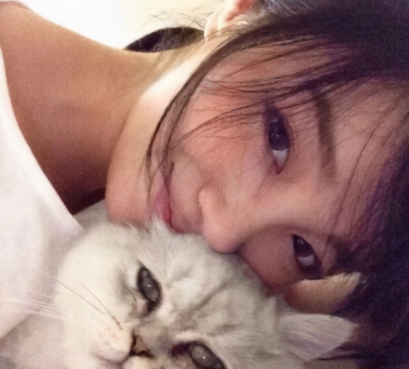 為什么女生，更愛養(yǎng)貓不養(yǎng)狗？這幾點大概是原因