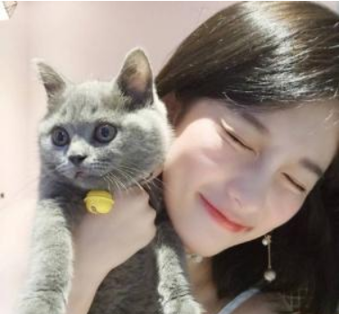 為什么女生，更愛養(yǎng)貓不養(yǎng)狗？這幾點大概是原因