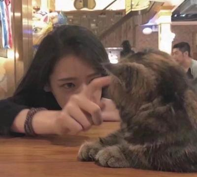 為什么女生，更愛養(yǎng)貓不養(yǎng)狗？這幾點大概是原因