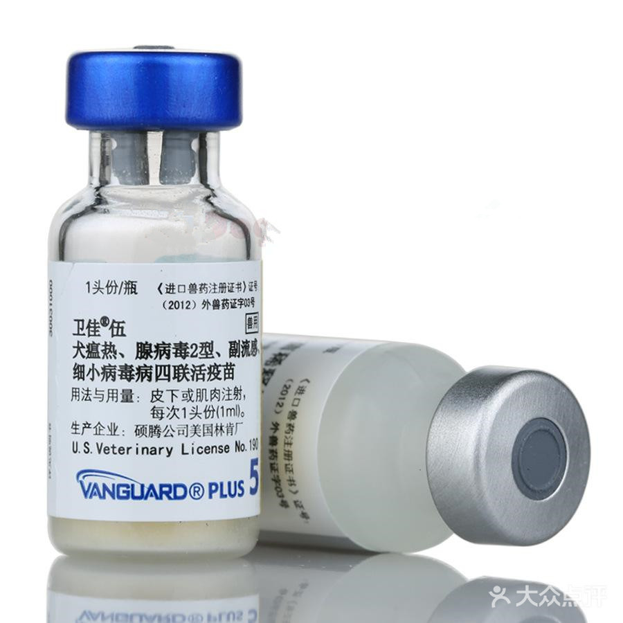 狗病臨床手冊(cè)_四十條狗有一條病狗_狗病防治手冊(cè)