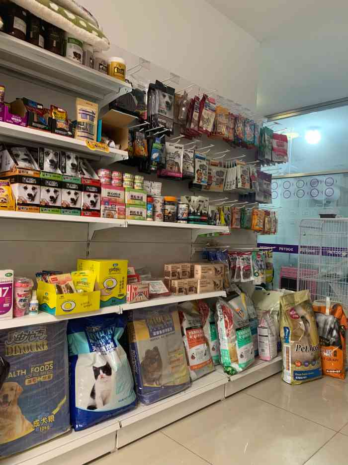 買狗在寵物店買好嗎_去寵物店買狗要注意什么_買小奶狗注意什么