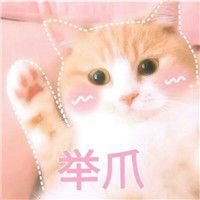 暹羅貓和英短雜交純黑