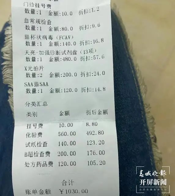 這是藍(lán)貓？玉溪女子收到貓后被賣(mài)家拉黑！治療費(fèi)花了1200元…