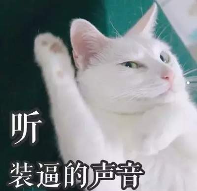 英短貓拉稀會死掉嗎