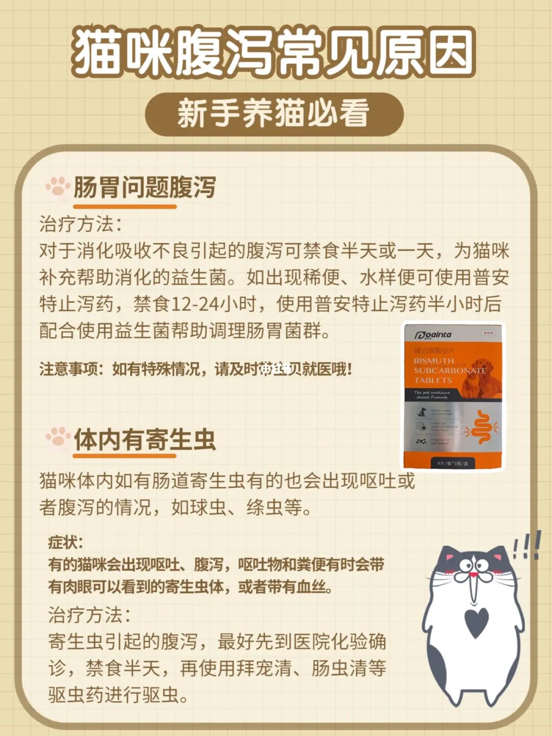 大貓對小貓_小貓死啦會影響大貓嗎_黑道稱雄+大貓愛小貓+小說