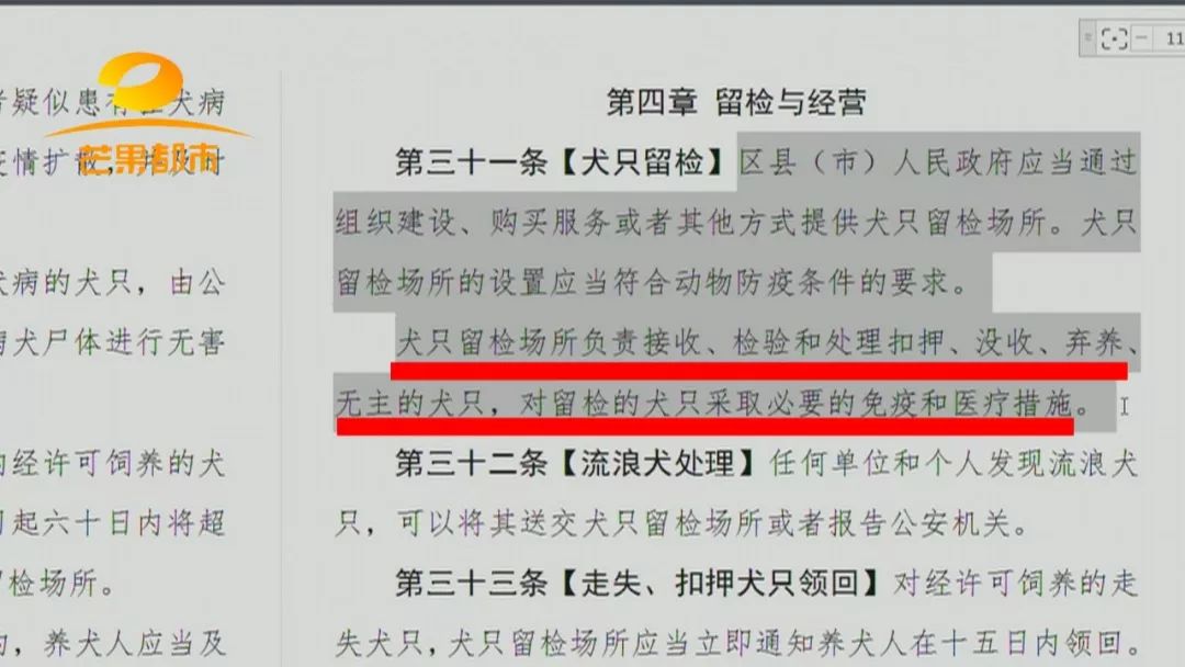 北京養(yǎng)狗需要辦什么證_北京怎么給狗辦狗證_狗狗辦狗證需要什么