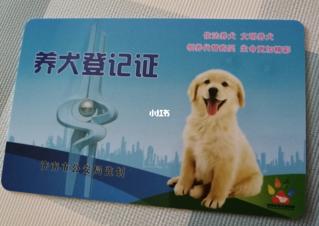 辦狗證需要植入芯片嗎_南京辦狗證需要什么_北京養(yǎng)狗需要辦什么證