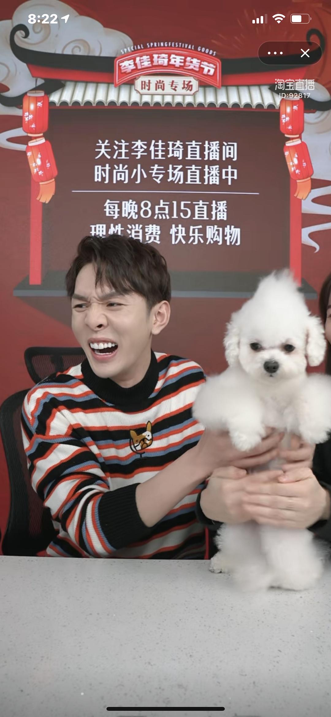 沒尾巴的狗是品種大全_品種狗 尾巴_沒尾巴的大狗品種圖片
