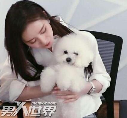 李佳琦的狗狗是什么品種狗