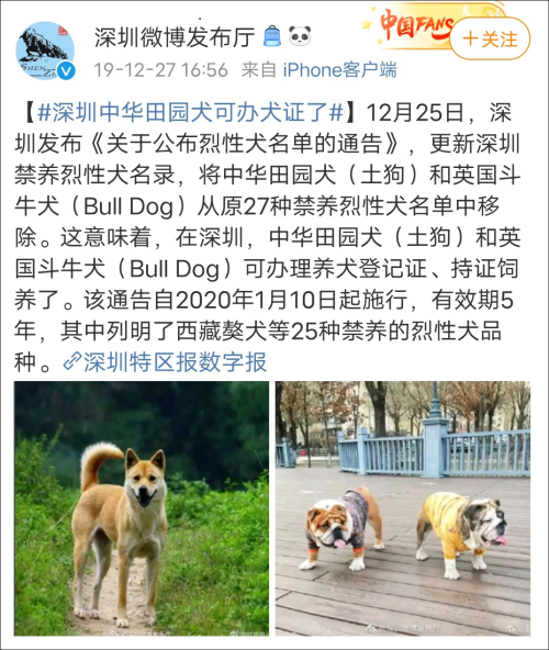 北京怎么給狗辦狗證_在城里養(yǎng)狗不辦狗證_辦狗證不要證便宜