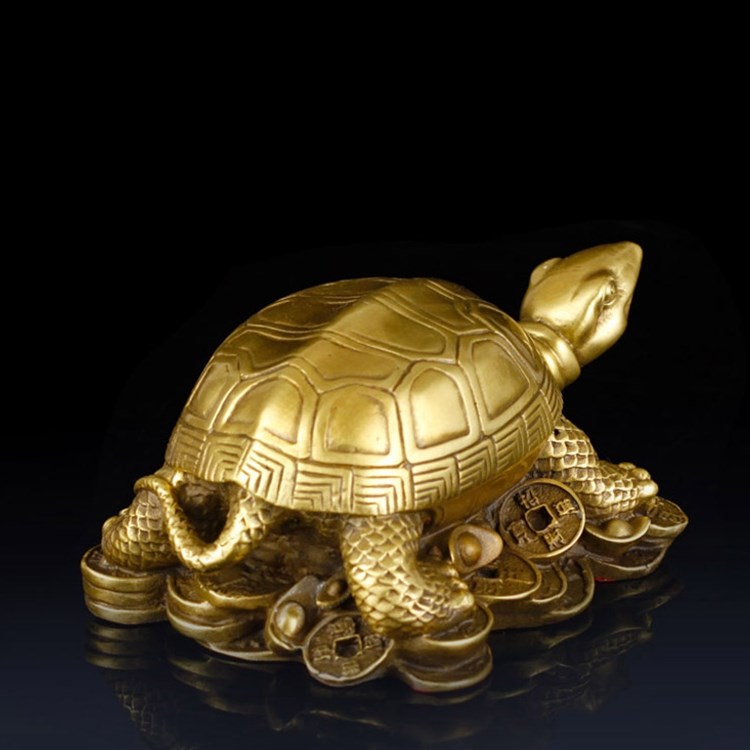 家里養(yǎng)烏龜養(yǎng)幾個好_山烏龜怎么養(yǎng)_烏龜白眼病 干養(yǎng)水養(yǎng)