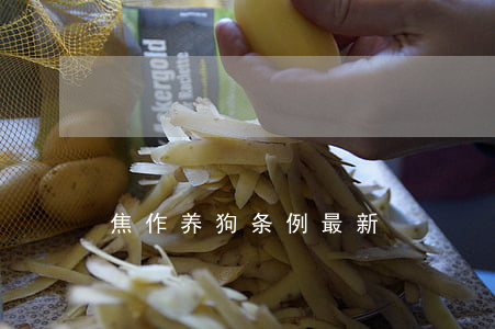焦作養(yǎng)狗條例最新
