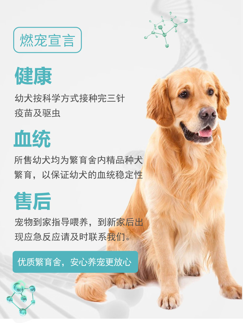 上班養(yǎng)串串狗好不好養(yǎng)_養(yǎng)狗條例_養(yǎng)什么狗最賺錢又好養(yǎng)