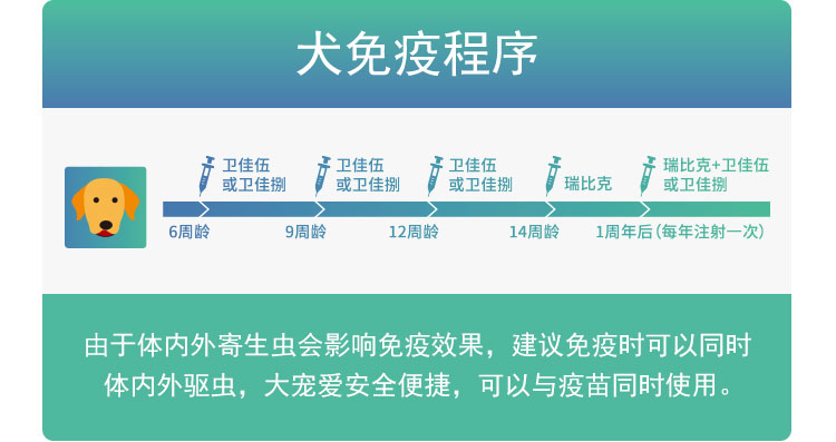 養(yǎng)狗條例_養(yǎng)什么狗最賺錢又好養(yǎng)_上班養(yǎng)串串狗好不好養(yǎng)
