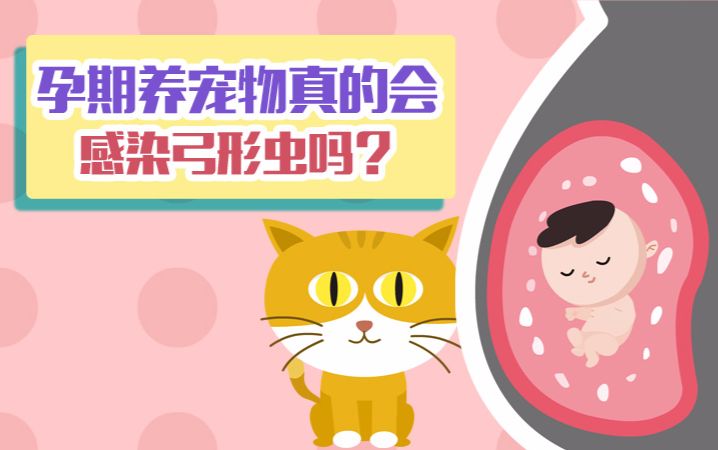 養(yǎng)貴賓狗需要注意什么_女生養(yǎng)狗注意事項_駕校報名應(yīng)注意哪些事項