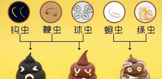 駕校報名應(yīng)注意哪些事項_養(yǎng)貴賓狗需要注意什么_女生養(yǎng)狗注意事項