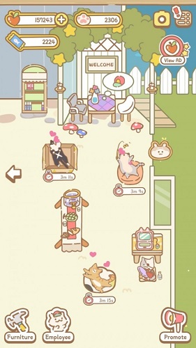 小貓水療館(CatSpa)