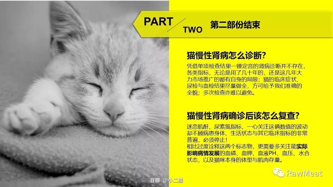 貓鼠狗 中作者仇貓的原因_中醫(yī)治不孕哪看得好_中獸醫(yī)治狗貓病看什么書
