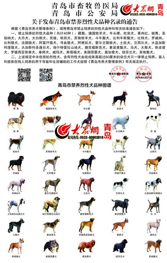 市教育督導(dǎo)條例(草案)》修改意見_養(yǎng)一只貓一只狗還是養(yǎng)兩只狗_青島市養(yǎng)狗條例
