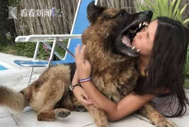 耳朵大腿短的狗狗品種_長耳朵狗狗的品種圖片_狗狗狗狗品種大全及圖片