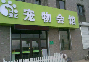 學(xué)狗狗美容要多少錢_哪里可以學(xué)狗狗美容_學(xué)美容什么季節(jié)學(xué)