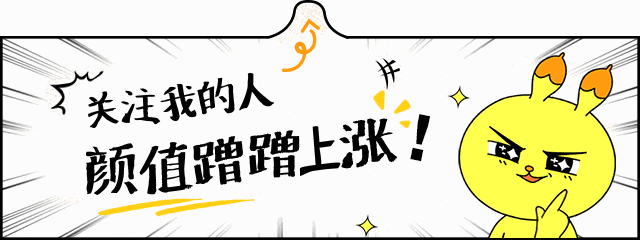 狗品種大全及圖片_細狗品種大全及圖片_狗大全品種名字和圖片