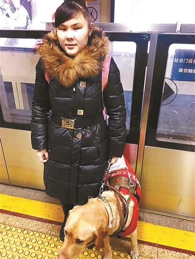 為什么智商第一的邊牧不能成為導盲犬？邊牧：養(yǎng)我附贈健身套餐哦