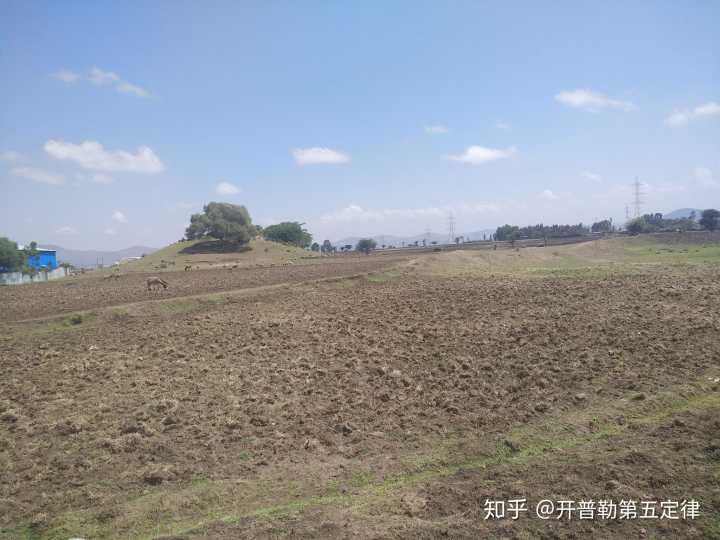 羊和羊抵頭視頻直播_三個(gè)豬一頭羊成語(yǔ)_虎羊成語(yǔ)是什么成語(yǔ)