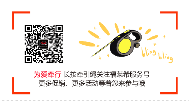 把狗關(guān)狗籠的好處_養(yǎng)狗對(duì)孩子的好處_養(yǎng)貓和養(yǎng)狗的好處