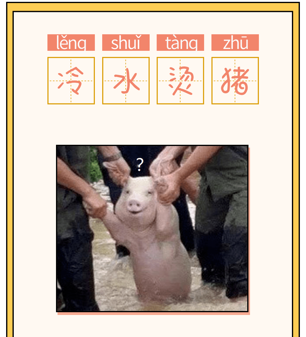 成語豬_豬 狗成語_什么豬成語