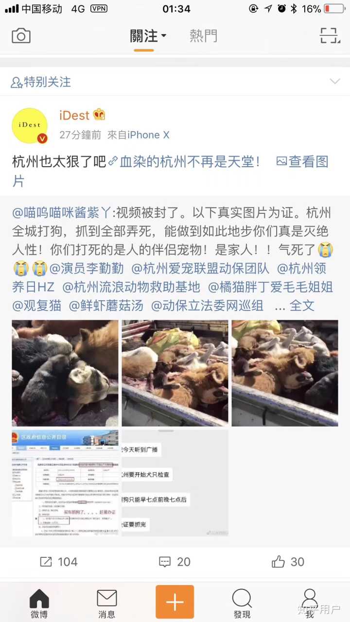 兗州養(yǎng)狗管理規(guī)定_兗州90后女孩養(yǎng)蝎子的聯(lián)系方式_串串狗多少錢一只,如何養(yǎng)好串串狗