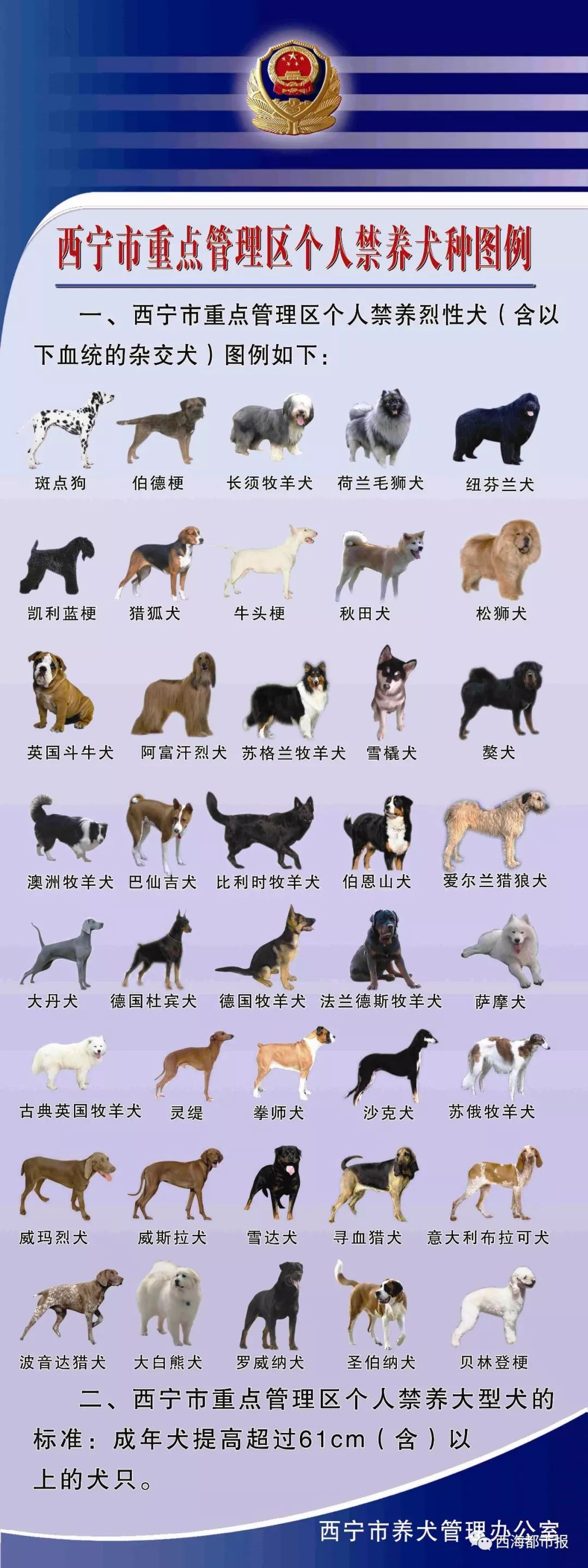 狗布魯氏桿菌病_西樵論壇賣病狗_病狗