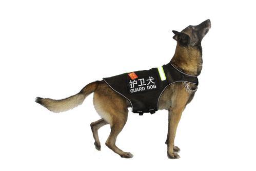 兗州養(yǎng)狗管理規(guī)定_養(yǎng)什么狗最賺錢又好養(yǎng)_養(yǎng)兩只狗要幾個狗廁所