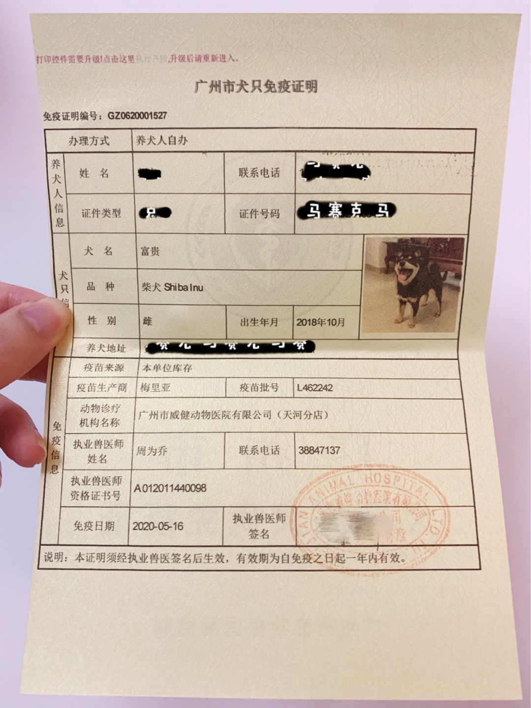 養(yǎng)什么狗最賺錢又好養(yǎng)_兗州養(yǎng)狗管理規(guī)定_養(yǎng)兩只狗要幾個狗廁所