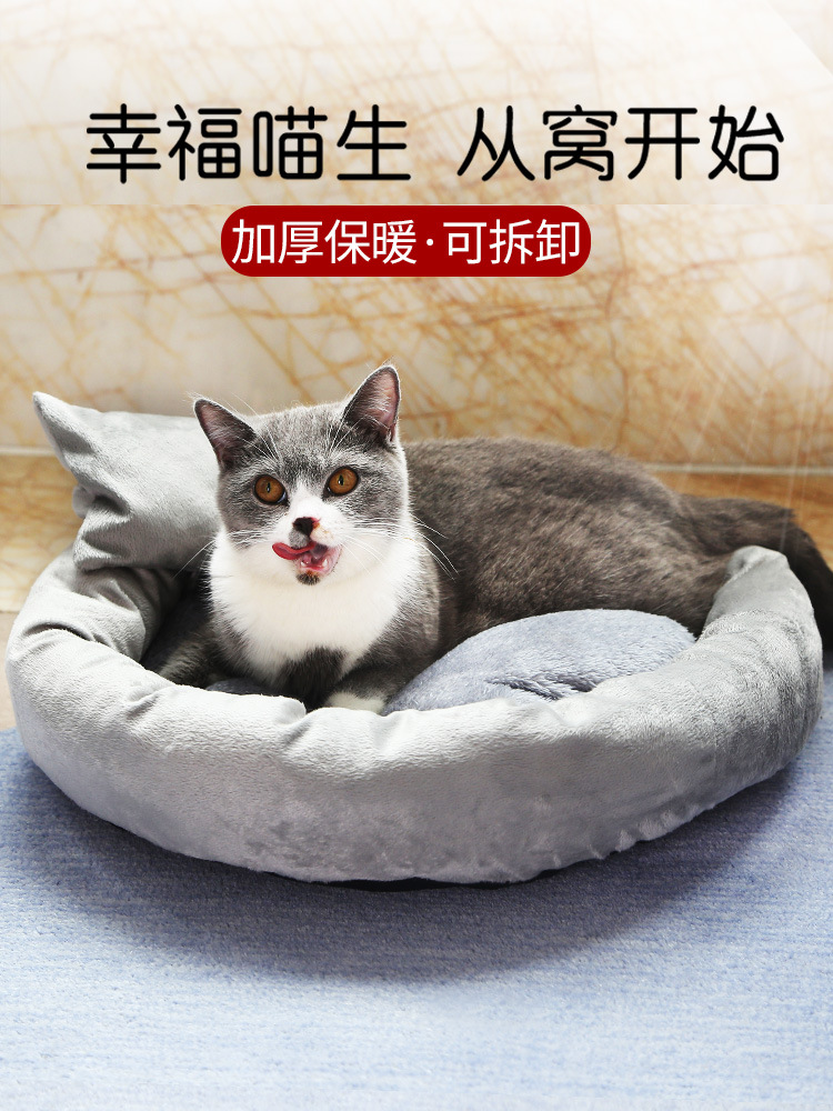 貓是哺乳動物嗎_錢鐘書 貓是獨(dú)立的動物_哺乳期的貓可以絕育