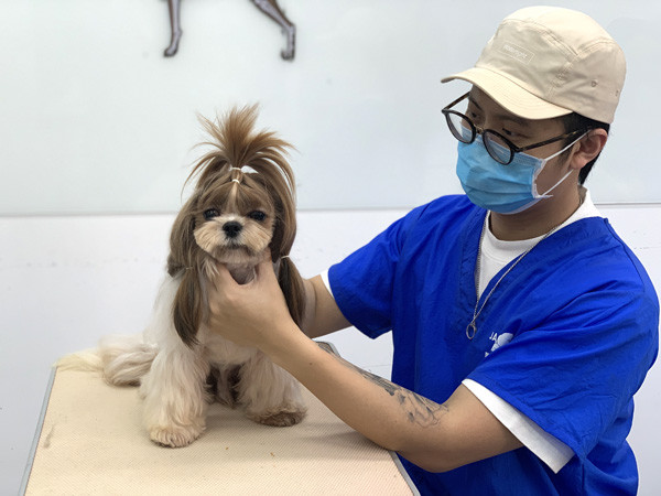 狗狗美容_撫順哪有學(xué)狗狗美容的_學(xué)狗狗美容